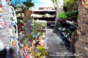 19 ELCHE HUERTO DEL CURA (25)